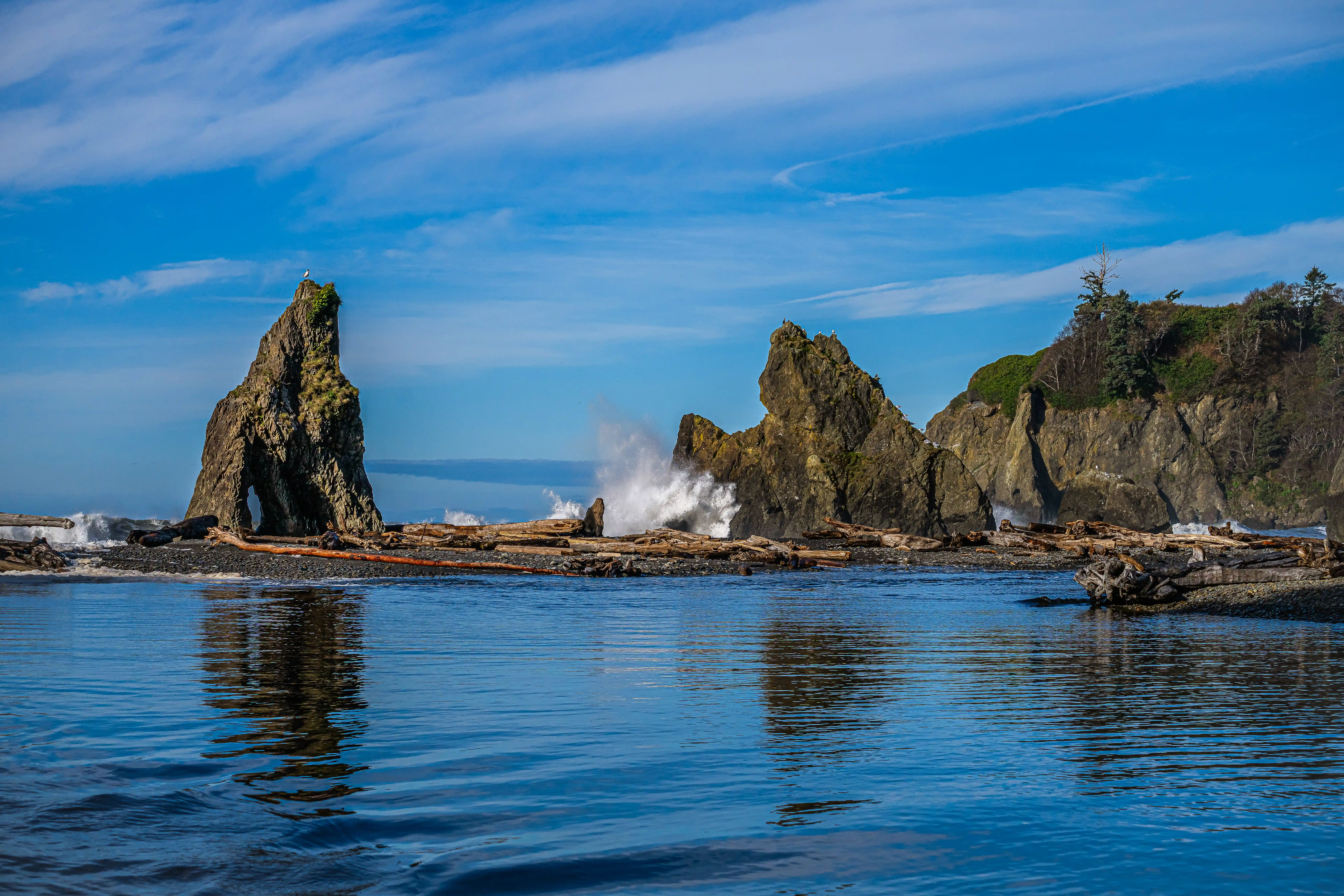 Ruby Beach Wave